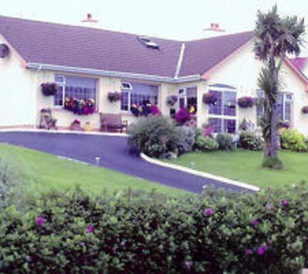 The Yellow Rose B&B Belderg Exterior foto